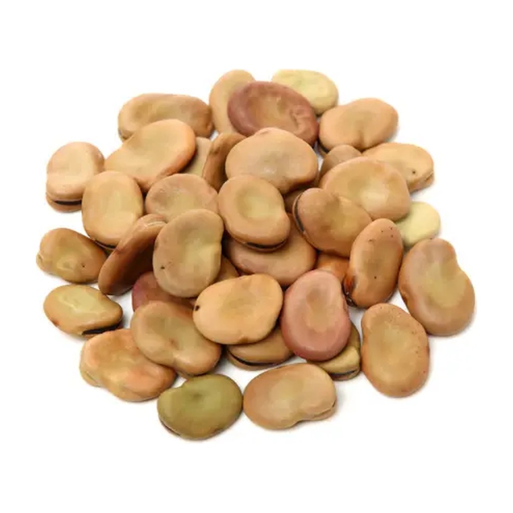 Fava Beans Medium (Whole) 50LBS