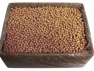 [504756] Chick Peas Yellow Roasted 10 KG