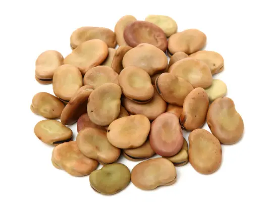 [805457] Fava Beans Medium (Whole) 50LBS